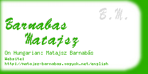 barnabas matajsz business card